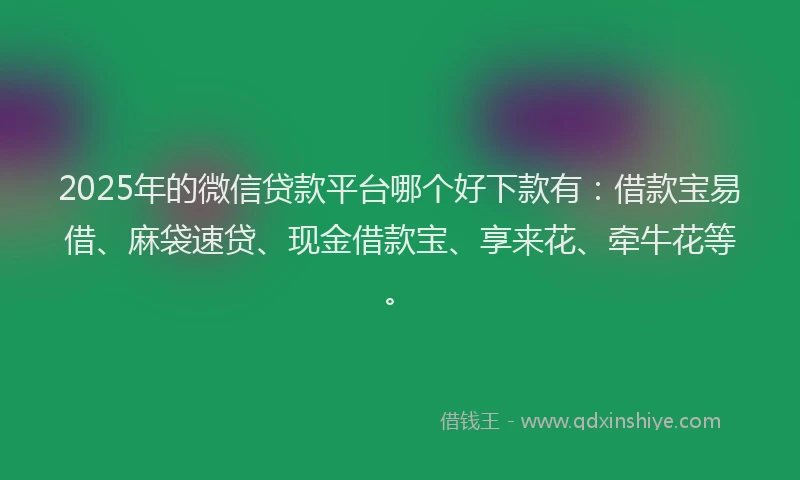 2025年的微信贷款平台哪个好下款有：借款宝易借、麻袋速贷、现金借款宝、享来花、牵牛花等。