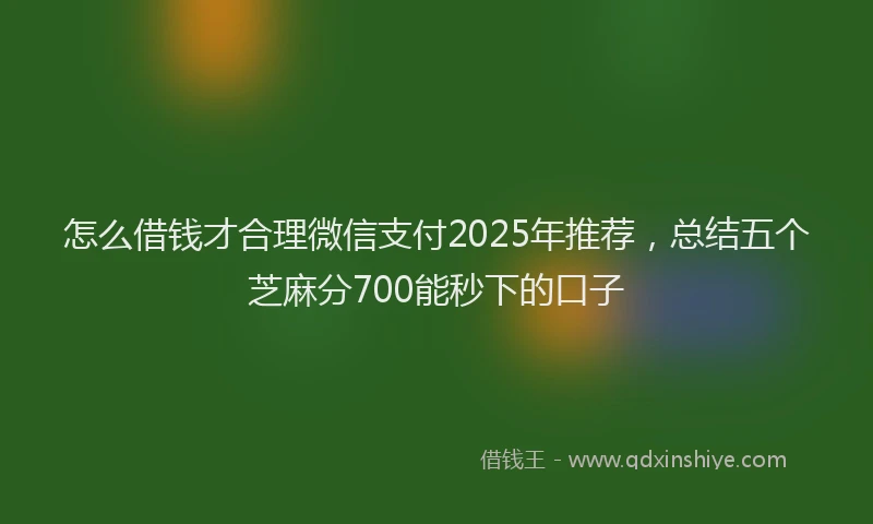 怎么借钱才合理微信支付2025年推荐，总结五个芝麻分700能秒下的口子