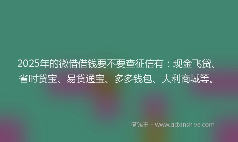 2025年的微借借钱要不要查征信有：现金飞贷、省时贷宝、易贷通宝、多多钱包、大利商城等。
