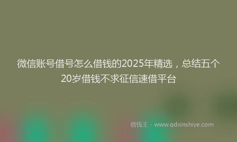 微信账号借号怎么借钱的2025年精选，总结五个20岁借钱不求征信速借平台