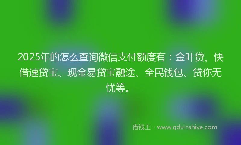2025年的怎么查询微信支付额度有：金叶贷、快借速贷宝、现金易贷宝融途、全民钱包、贷你无忧等。