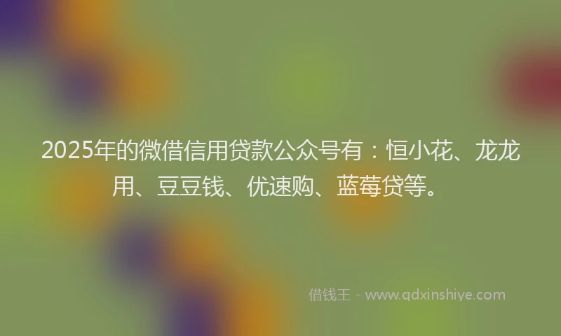2025年的微借信用贷款公众号有：恒小花、龙龙用、豆豆钱、优速购、蓝莓贷等。