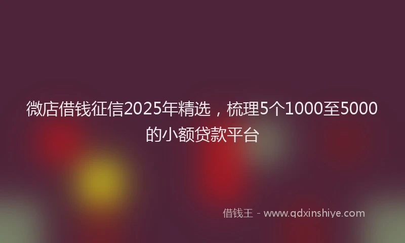 微店借钱征信2025年精选，梳理5个1000至5000的小额贷款平台