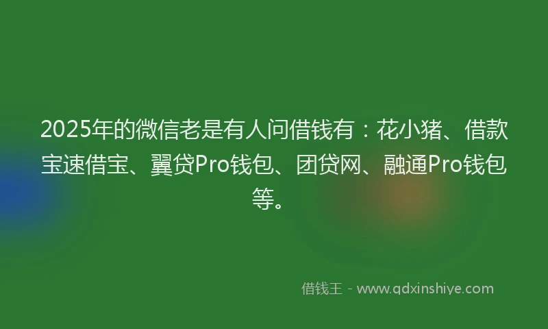 2025年的微信老是有人问借钱有：花小猪、借款宝速借宝、翼贷Pro钱包、团贷网、融通Pro钱包等。