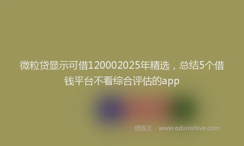 微粒贷显示可借120002025年精选，总结5个借钱平台不看综合评估的app