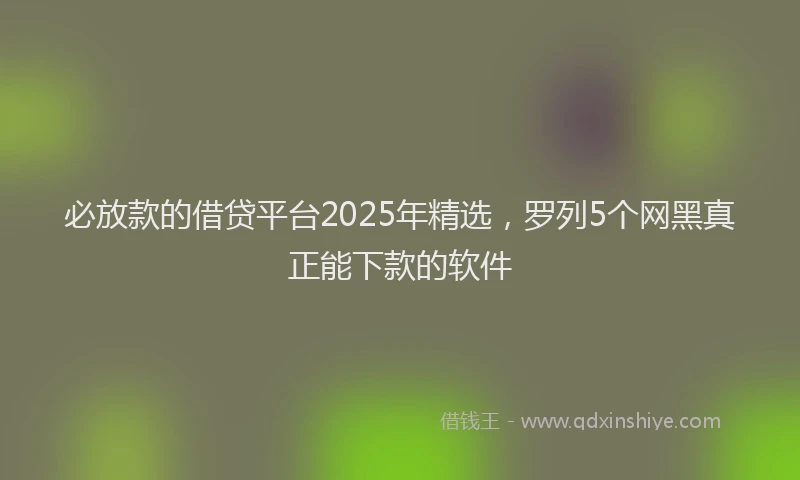 必放款的借贷平台2025年精选，罗列5个网黑真正能下款的软件