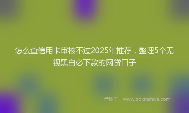 怎么查信用卡审核不过2025年推荐，整理5个无视黑白必下款的网贷口子