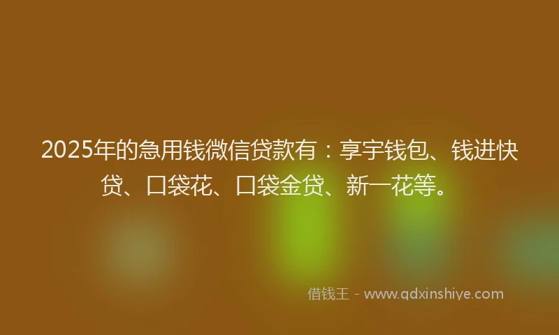 2025年的急用钱微信贷款有：享宇钱包、钱进快贷、口袋花、口袋金贷、新一花等。