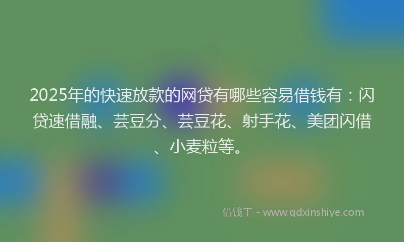 2025年的快速放款的网贷有哪些容易借钱有：闪贷速借融、芸豆分、芸豆花、射手花、美团闪借、小麦粒等。