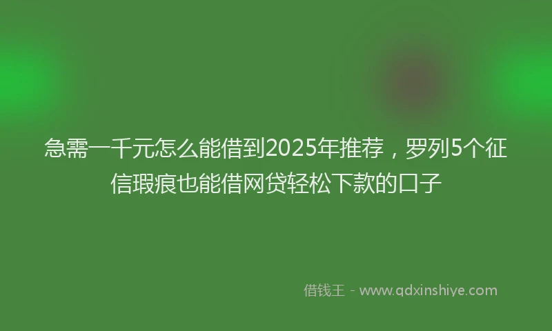 急需一千元怎么能借到2025年推荐，罗列5个征信瑕疵也能借网贷轻松下款的口子