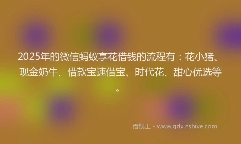 2025年的微信蚂蚁享花借钱的流程有：花小猪、现金奶牛、借款宝速借宝、时代花、甜心优选等。