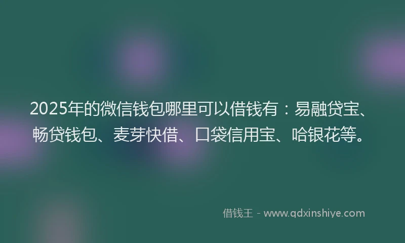 2025年的微信钱包哪里可以借钱有：易融贷宝、畅贷钱包、麦芽快借、口袋信用宝、哈银花等。