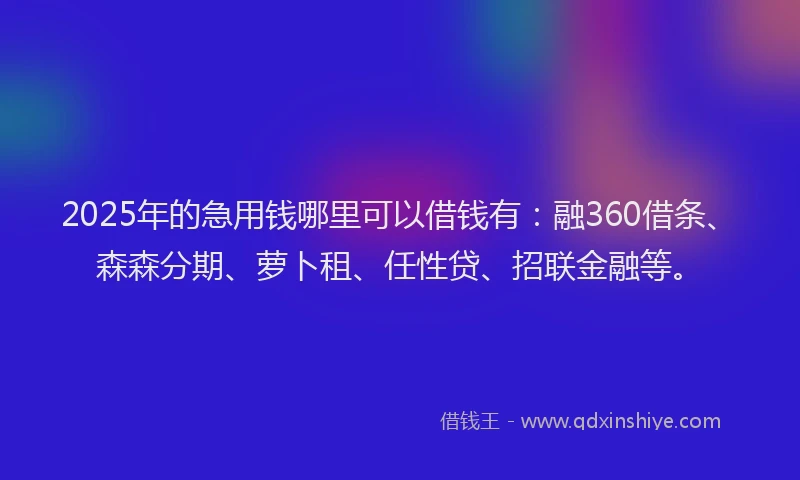 2025年的急用钱哪里可以借钱有：融360借条、森森分期、萝卜租、任性贷、招联金融等。
