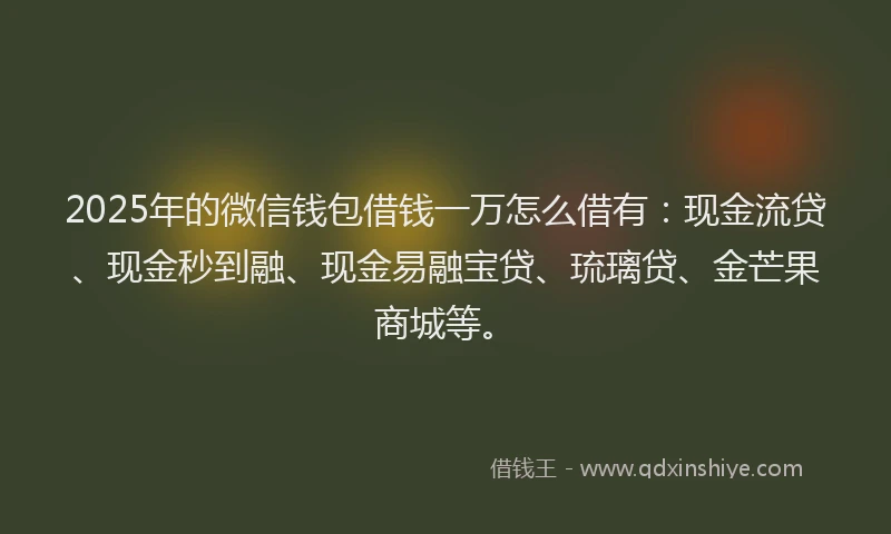 2025年的微信钱包借钱一万怎么借有：现金流贷、现金秒到融、现金易融宝贷、琉璃贷、金芒果商城等。