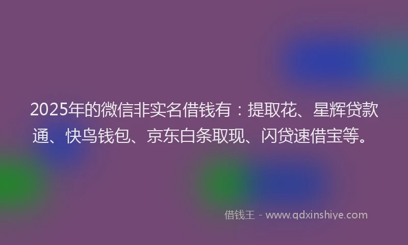 2025年的微信非实名借钱有：提取花、星辉贷款通、快鸟钱包、京东白条取现、闪贷速借宝等。