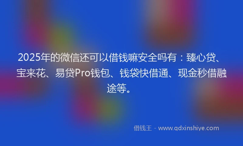 2025年的微信还可以借钱嘛安全吗有：臻心贷、宝来花、易贷Pro钱包、钱袋快借通、现金秒借融途等。