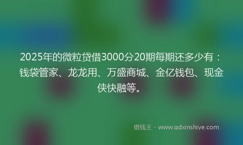 2025年的微粒贷借3000分20期每期还多少有：钱袋管家、龙龙用、万盛商城、金亿钱包、现金侠快融等。