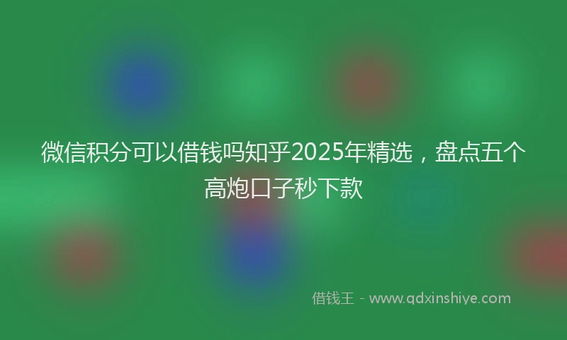 微信积分可以借钱吗知乎2025年精选，盘点五个高炮口子秒下款