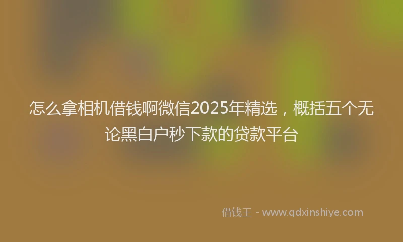 怎么拿相机借钱啊微信2025年精选，概括五个无论黑白户秒下款的贷款平台