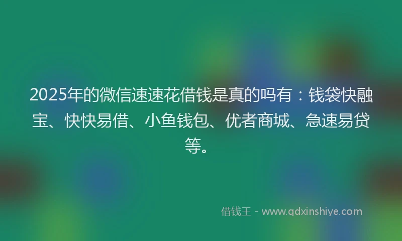 2025年的微信速速花借钱是真的吗有：钱袋快融宝、快快易借、小鱼钱包、优者商城、急速易贷等。