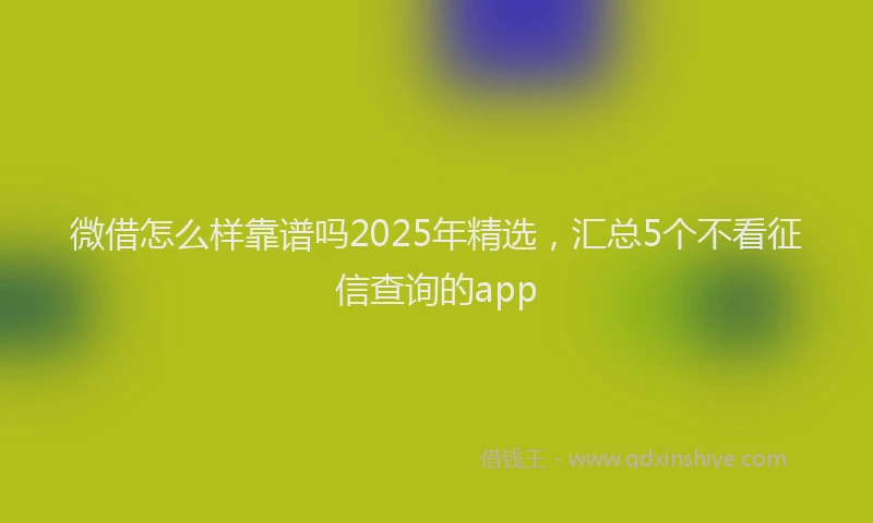 微借怎么样靠谱吗2025年精选，汇总5个不看征信查询的app