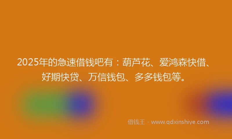 2025年的急速借钱吧有：葫芦花、爱鸿森快借、好期快贷、万信钱包、多多钱包等。