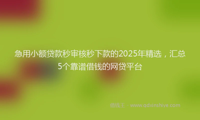 急用小额贷款秒审核秒下款的2025年精选，汇总5个靠谱借钱的网贷平台