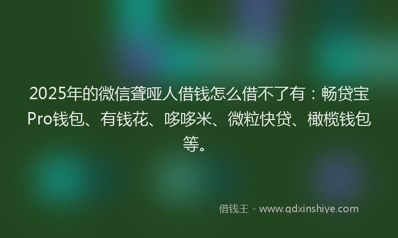 2025年的微信聋哑人借钱怎么借不了有：畅贷宝Pro钱包、有钱花、哆哆米、微粒快贷、橄榄钱包等。