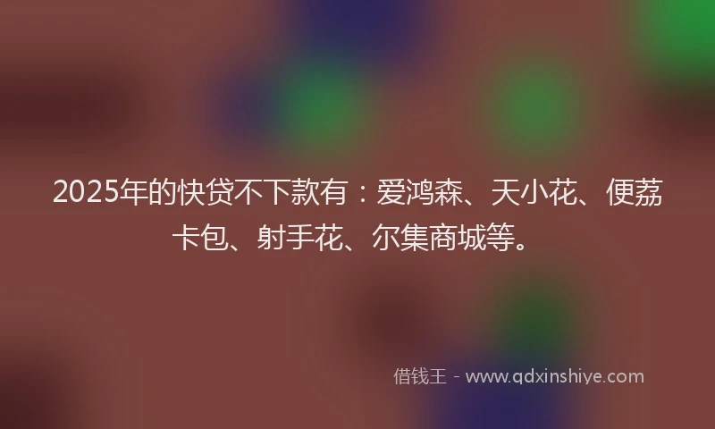 2025年的快贷不下款有：爱鸿森、天小花、便荔卡包、射手花、尔集商城等。