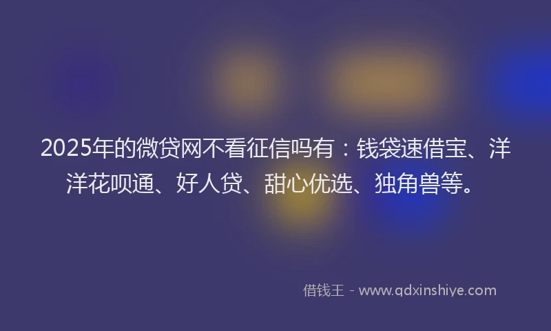 2025年的微贷网不看征信吗有：钱袋速借宝、洋洋花呗通、好人贷、甜心优选、独角兽等。
