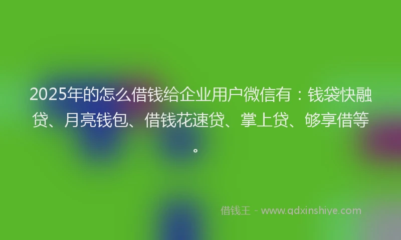 2025年的怎么借钱给企业用户微信有：钱袋快融贷、月亮钱包、借钱花速贷、掌上贷、够享借等。