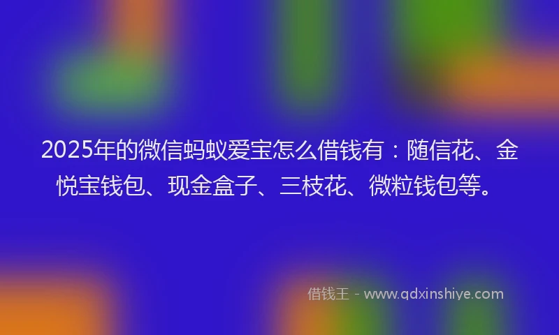 2025年的微信蚂蚁爱宝怎么借钱有：随信花、金悦宝钱包、现金盒子、三枝花、微粒钱包等。