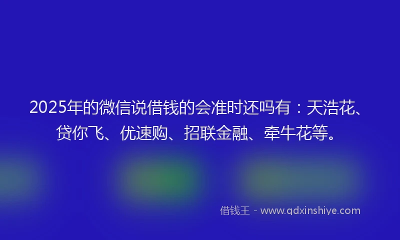 2025年的微信说借钱的会准时还吗有：天浩花、贷你飞、优速购、招联金融、牵牛花等。