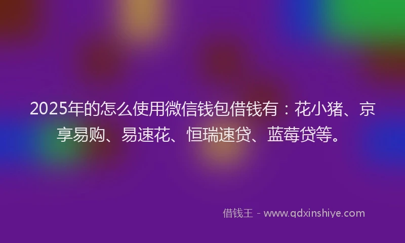 2025年的怎么使用微信钱包借钱有：花小猪、京享易购、易速花、恒瑞速贷、蓝莓贷等。