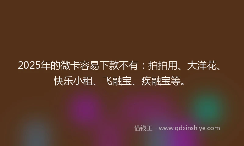2025年的微卡容易下款不有：拍拍用、大洋花、快乐小租、飞融宝、疾融宝等。