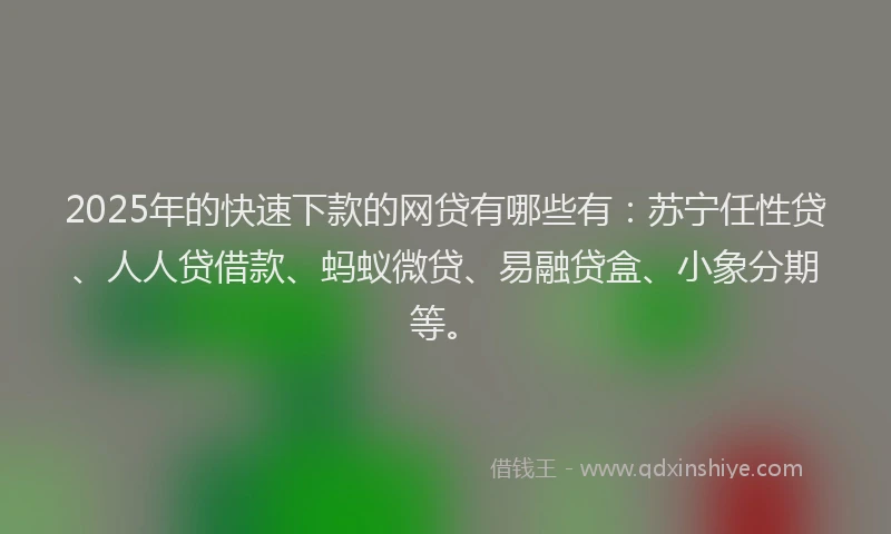 2025年的快速下款的网贷有哪些有：苏宁任性贷、人人贷借款、蚂蚁微贷、易融贷盒、小象分期等。