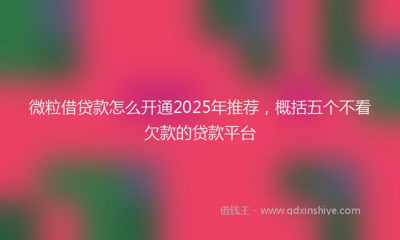 微粒借贷款怎么开通2025年推荐，概括五个不看欠款的贷款平台