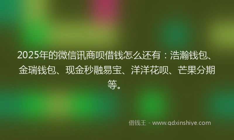 2025年的微信讯商呗借钱怎么还有：浩瀚钱包、金瑞钱包、现金秒融易宝、洋洋花呗、芒果分期等。