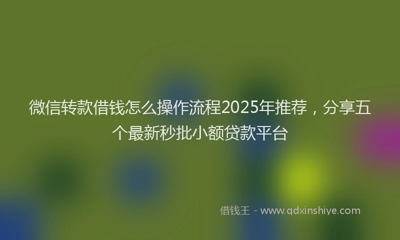 微信转款借钱怎么操作流程2025年推荐，分享五个最新秒批小额贷款平台