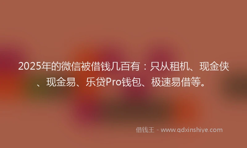 2025年的微信被借钱几百有：只从租机、现金侠、现金易、乐贷Pro钱包、极速易借等。