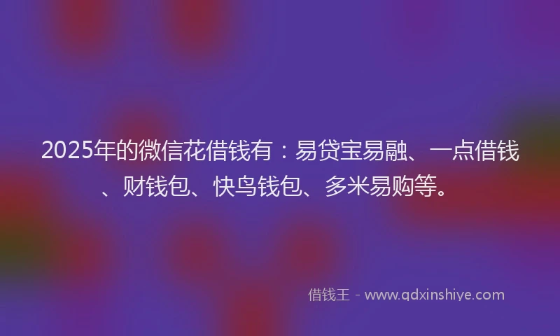 2025年的微信花借钱有：易贷宝易融、一点借钱、财钱包、快鸟钱包、多米易购等。