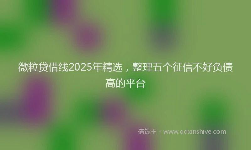 微粒贷借线2025年精选，整理五个征信不好负债高的平台