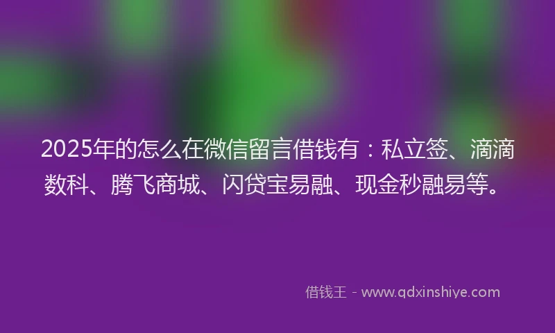 2025年的怎么在微信留言借钱有：私立签、滴滴数科、腾飞商城、闪贷宝易融、现金秒融易等。