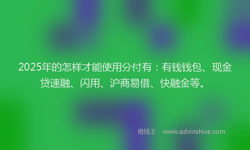 2025年的怎样才能使用分付有：有钱钱包、现金贷速融、闪用、沪商易借、快融金等。