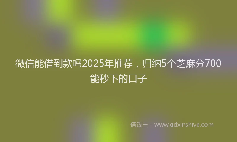微信能借到款吗2025年推荐，归纳5个芝麻分700能秒下的口子