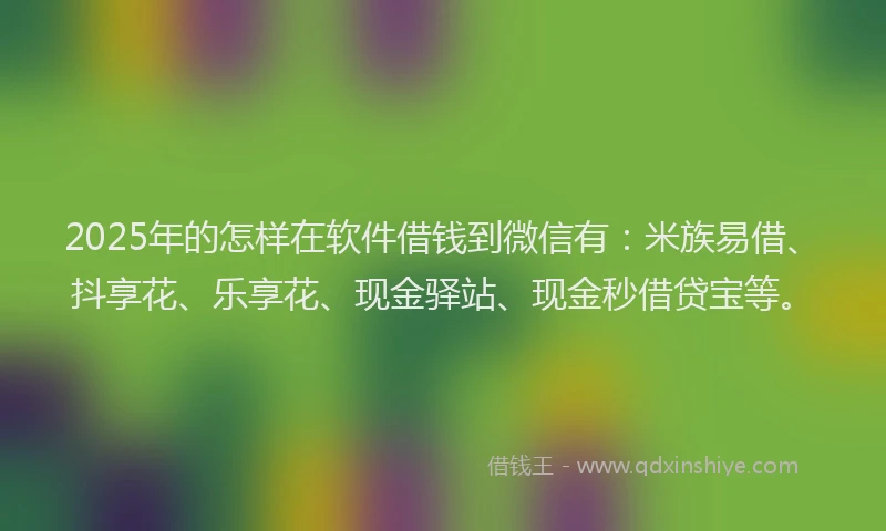 2025年的怎样在软件借钱到微信有：米族易借、抖享花、乐享花、现金驿站、现金秒借贷宝等。