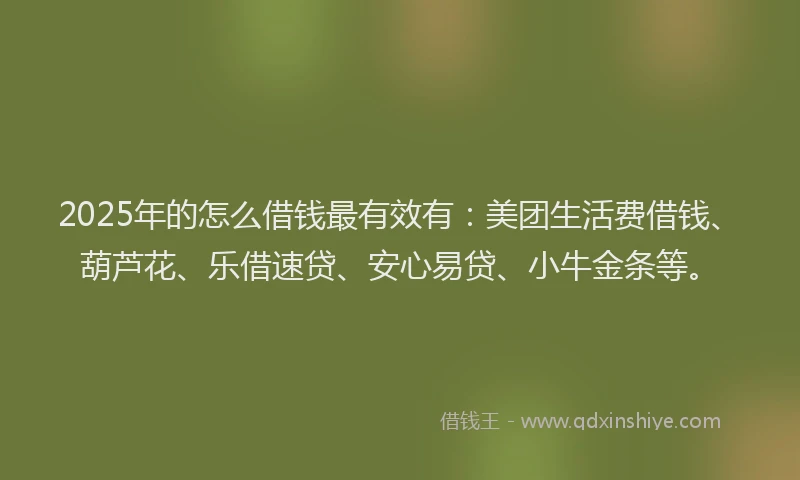 2025年的怎么借钱最有效有：美团生活费借钱、葫芦花、乐借速贷、安心易贷、小牛金条等。