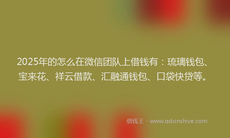 2025年的怎么在微信团队上借钱有：琉璃钱包、宝来花、祥云借款、汇融通钱包、口袋快贷等。