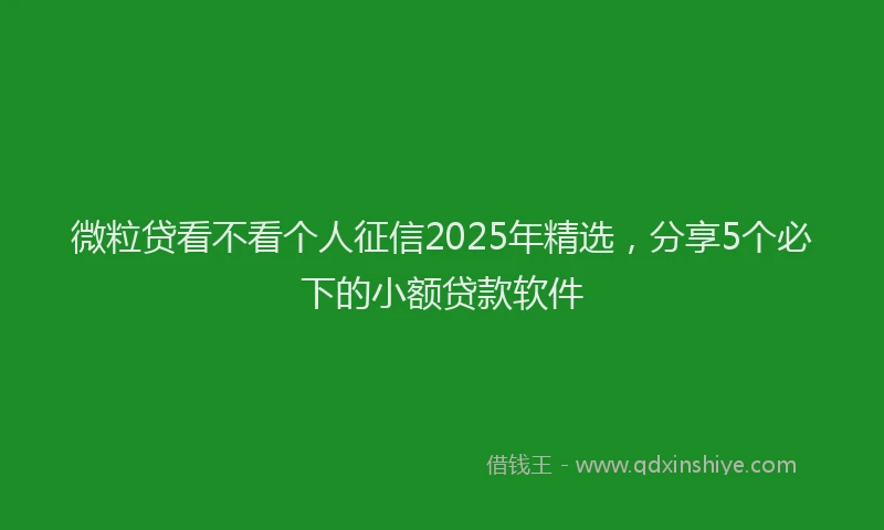 微粒贷看不看个人征信2025年精选，分享5个必下的小额贷款软件