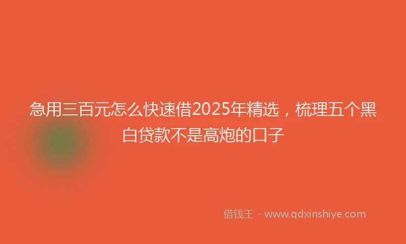 急用三百元怎么快速借2025年精选，梳理五个黑白贷款不是高炮的口子